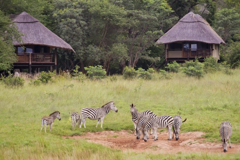 Ivory Lodge Dete Екстер'єр фото