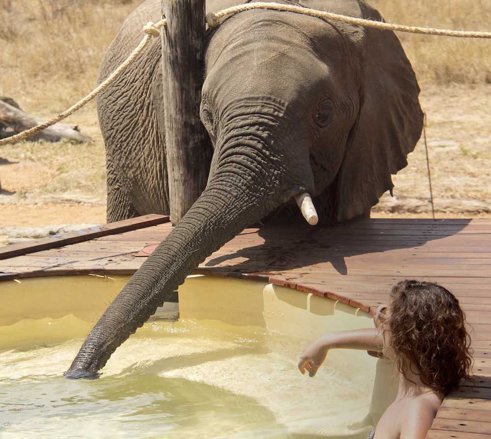 Ivory Lodge Dete Екстер'єр фото