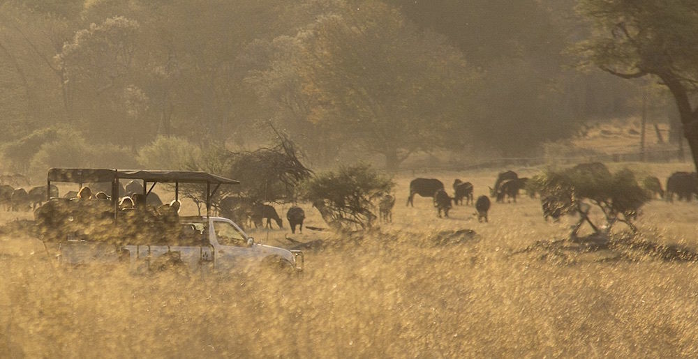 Ivory Lodge Dete Екстер'єр фото