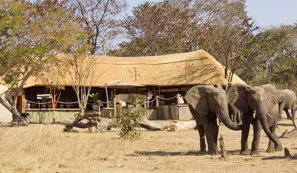 Ivory Lodge Dete Екстер'єр фото