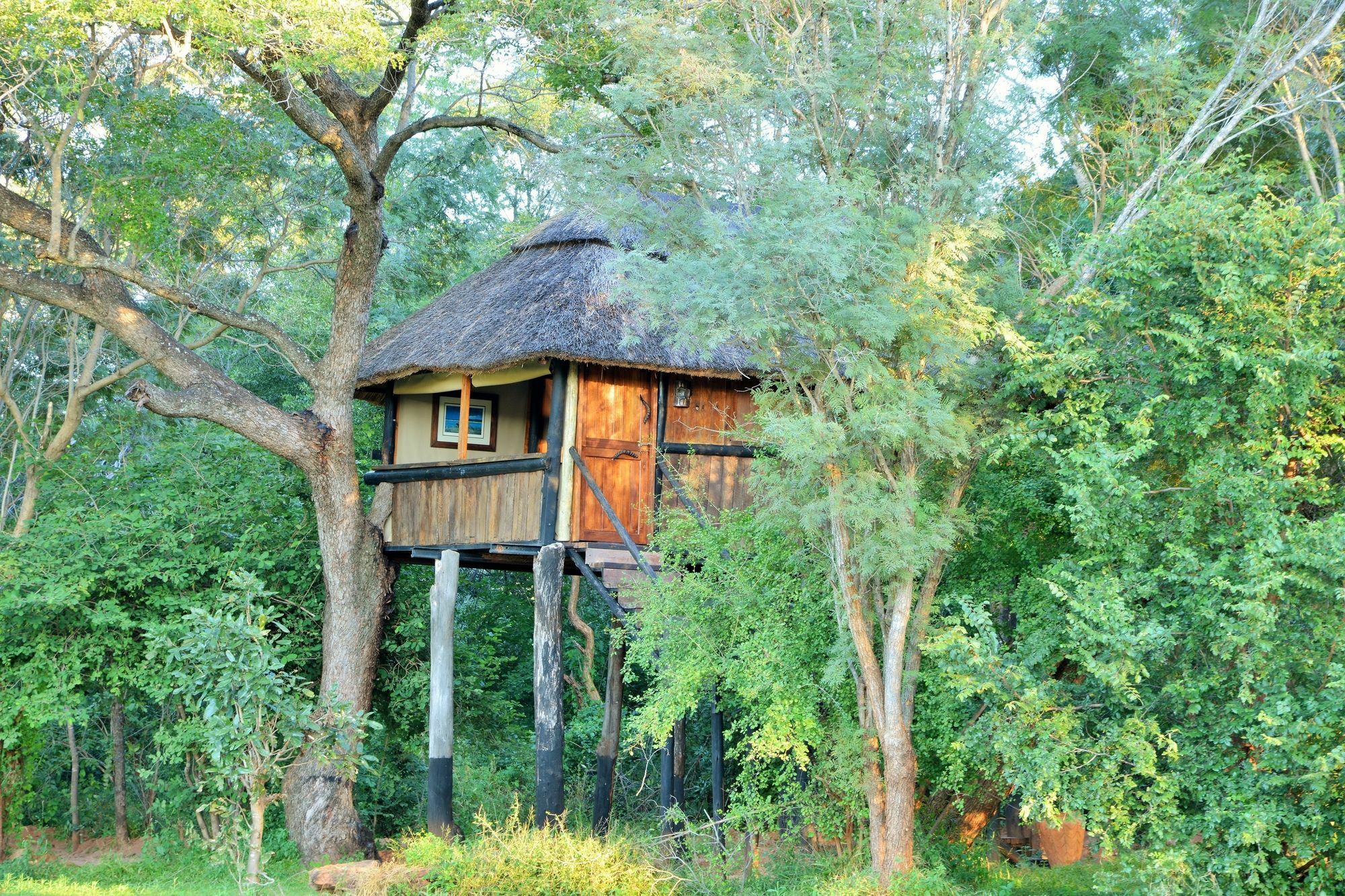 Ivory Lodge Dete Екстер'єр фото